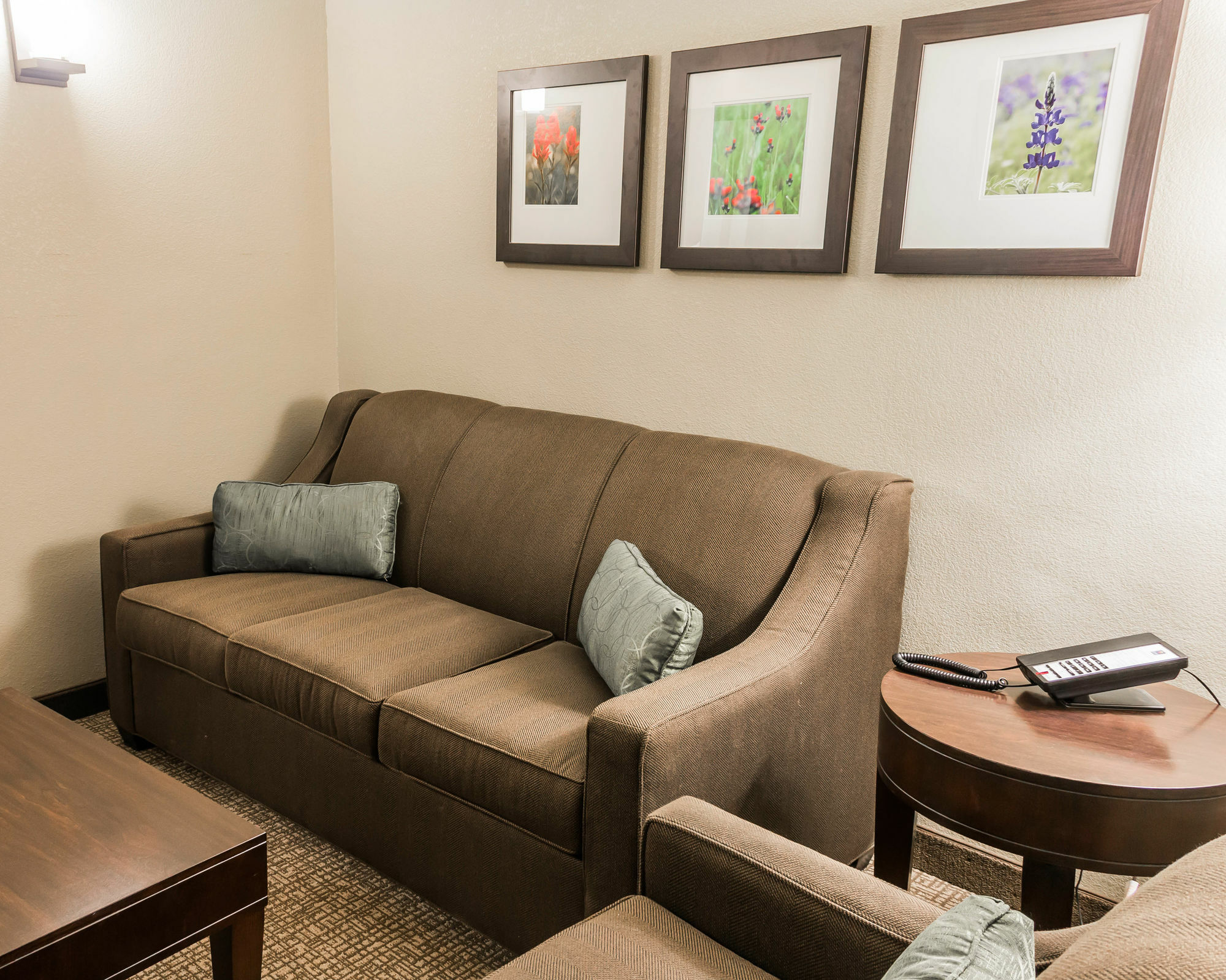 Comfort Inn & Suites Pharr/Mcallen Экстерьер фото